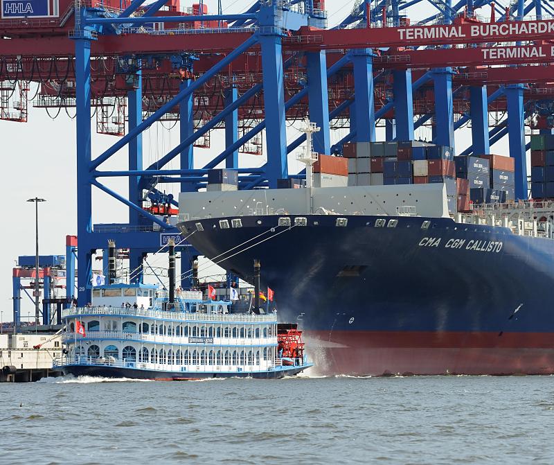 6251 Schiffsbug CMA CGM CALLISTO Raddampfer Hafenrundfahrt Hamburg | Containerhafen Hamburg - Containerschiffe im Hamburger Hafen
